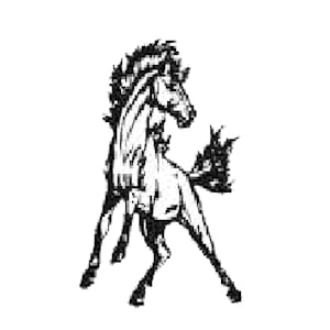 Bryce Valley Logo