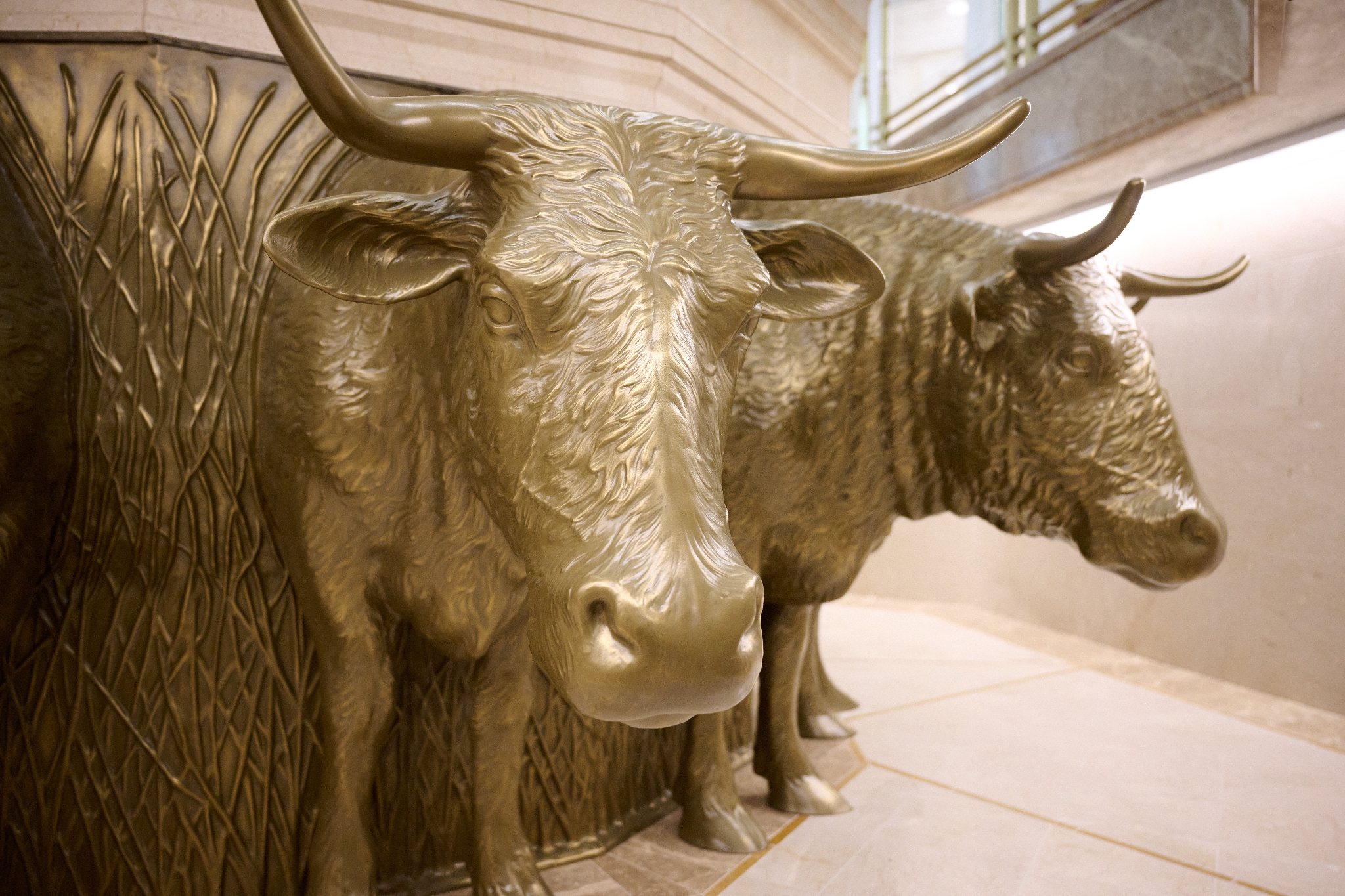 A close-up of a metal oxen statue.