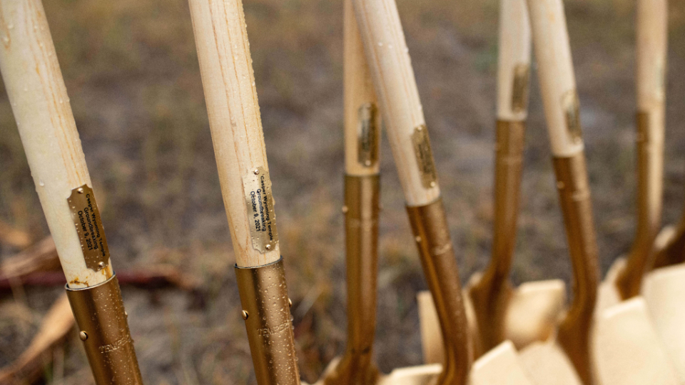 A close-up of a row of ceremonial golden shovels.