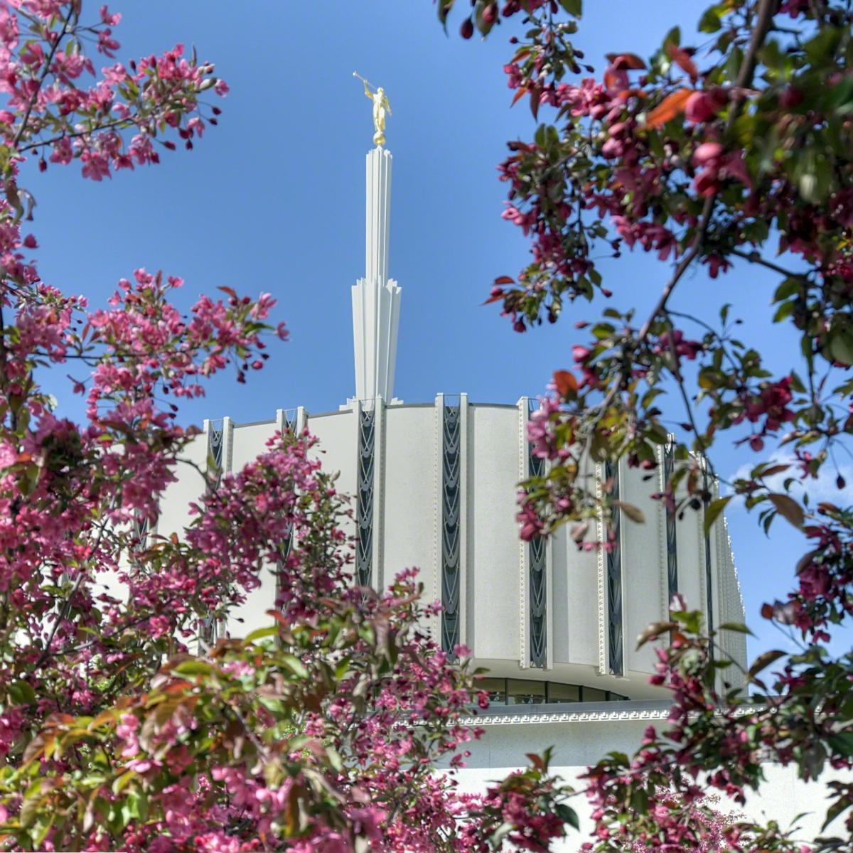 The exterior of the original Ogden Utah Temple, dedicated in 1972, that had a flat, round base with a spire in the center, with purple flowers near the camera.