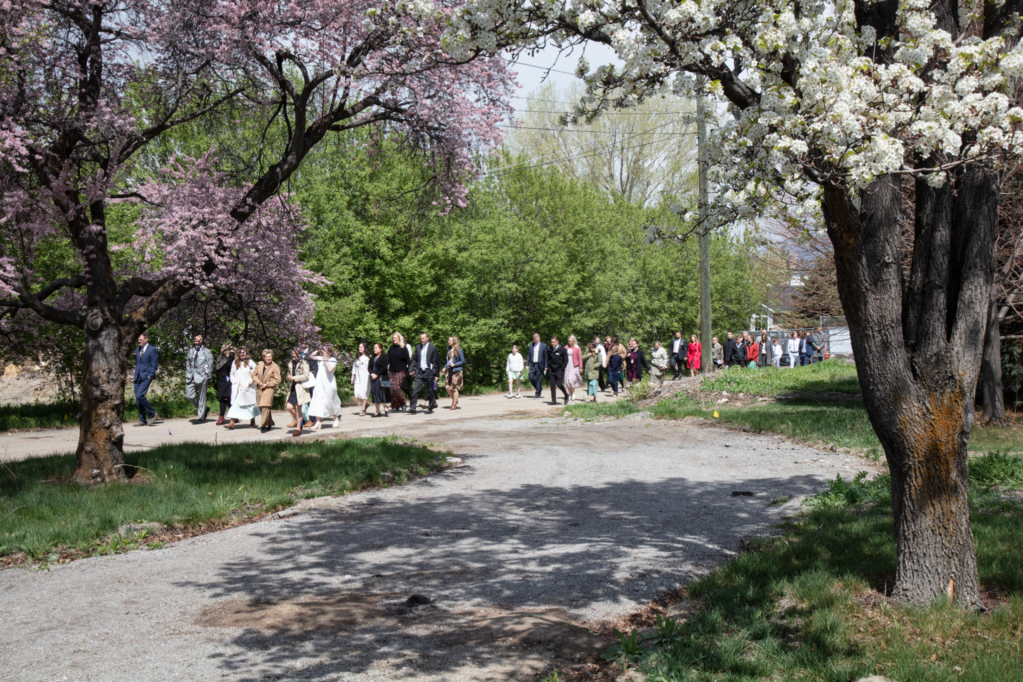 A group of people in Sunday best walking on a dirt path, with trees and grass around them.