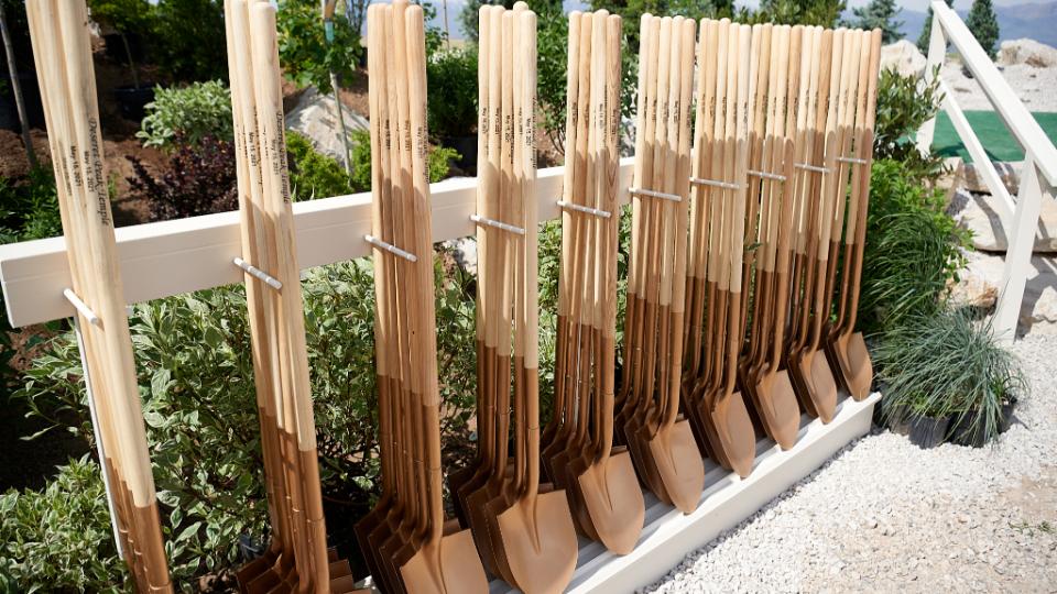 A row of shovels standing up.